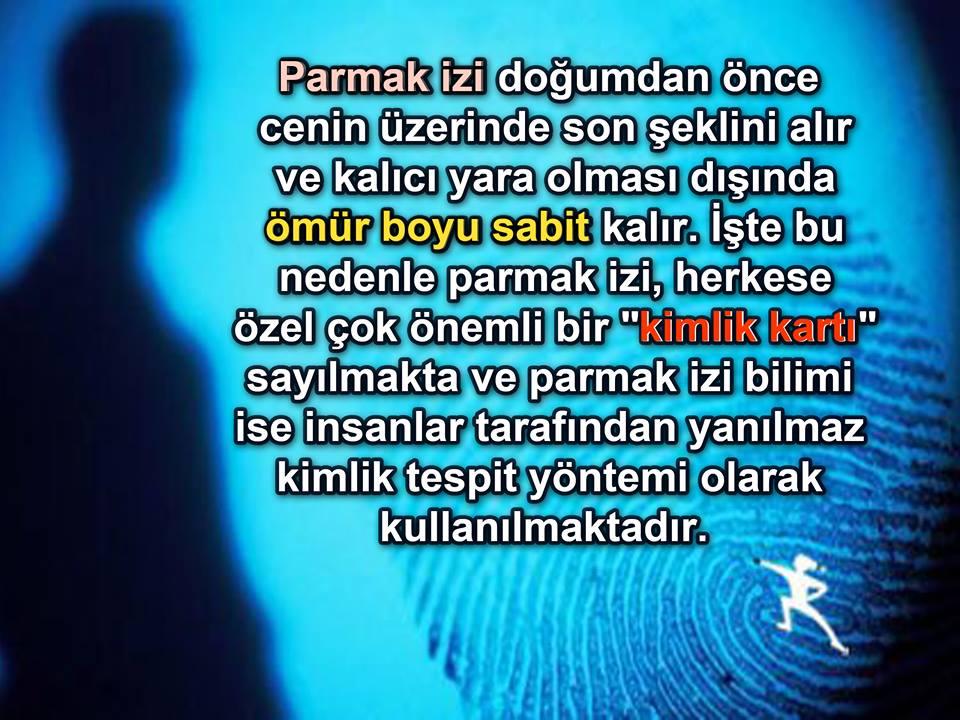 Parmak İzi