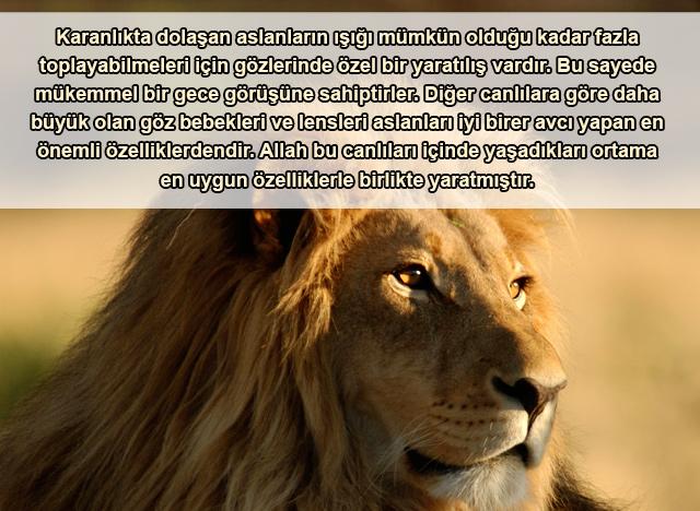 Aslan