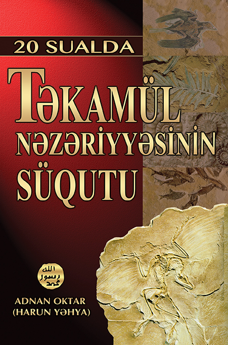 20 Sualda Təkamül Nəzəriyyəsinin Süqutu