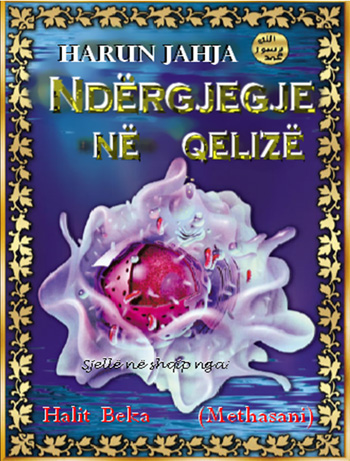 Ndërgjegje në Qelizë