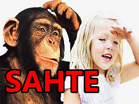 Darwinistlerin, evrim gibi basit ve saçma bir teorinin 'basite indirgendiğinden' yakınmaları bir aldatmacadır