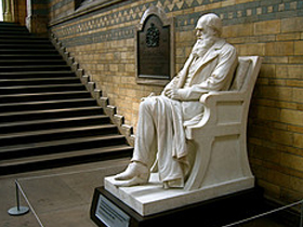 CHARLES DARWIN'İN, TEORİSİ HAKKINDAKİ İTİRAFLARI - 1