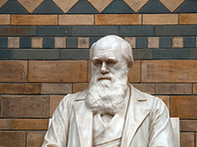 CHARLES DARWIN'İN, TEORİSİ HAKKINDAKİ İTİRAFLARI - 2