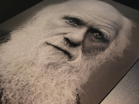 CHARLES DARWIN'İN, TEORİSİ HAKKINDAKİ İTİRAFLARI - 4