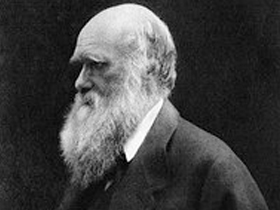 CHARLES DARWIN'İN, TEORİSİ HAKKINDAKİ İTİRAFLARI - 8