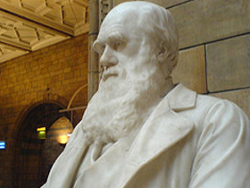 CHARLES DARWIN'İN, TEORİSİ HAKKINDAKİ İTİRAFLARI - 9