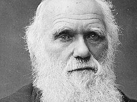 CHARLES DARWIN'İN, TEORİSİ HAKKINDAKİ İTİRAFLARI - 11