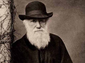 CHARLES DARWIN'İN, TEORİSİ HAKKINDAKİ İTİRAFLARI - 13