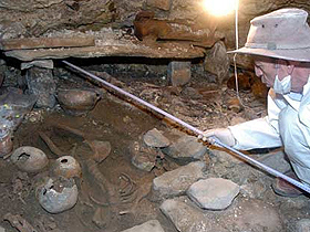 Robert D. Martin'in (Evrimci paleontolog) İnsanın Atası İle İlgili İtirafı