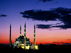 Hz. Mehdi (a.s.), hicri 1400 (miladi 1980) yılında tebliğ hizmetine başlayacaktır
