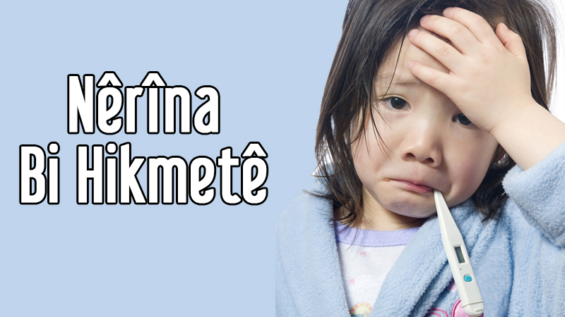 Nêrîna Bi Hikmetê