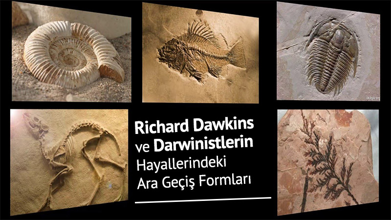 Richard Dawkins ve Darwinistlerin Hayallerindeki Ara Geçiş Formları