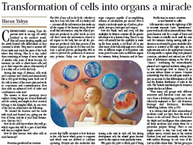 Hücrelerin Farklı Organlara Dönüşmesi Dünyadaki En Büyük Mucizelerden Biridir