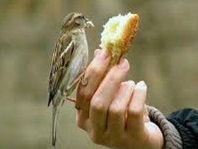 Qəsdən etməmək çox mühümdür, bu vəziyyətdə əsəbiləşməyib, xoş rəftar göstərmək lazımdır...