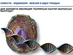 DNA mucizesi evrim teorisini nasıl geçersiz kılmaktadır?