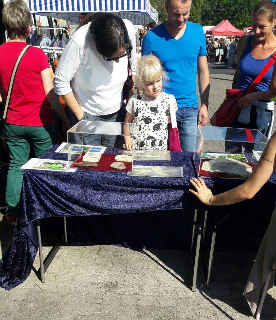 Bergisch Gladbach şehrinde Fosil Sergisi 