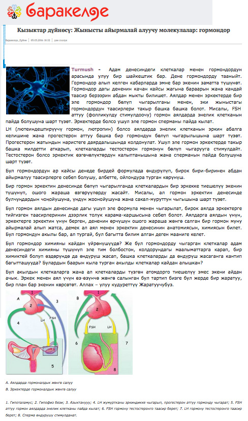 Cinsiyet Ayrımı Yapabilen Moleküller: Hormonlar