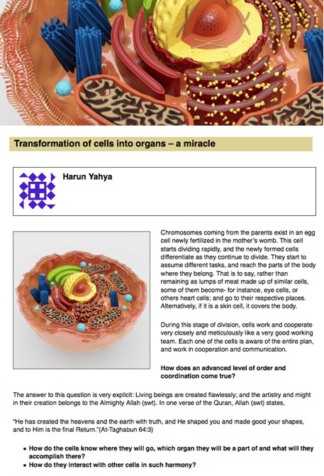 Transformation of Cells Into Organs A Miracle