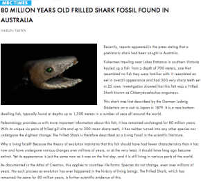 A 80 million year old rare frilled shark fossil found in Australia speaks against   Darwinism