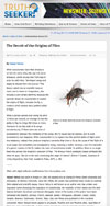 The Deceit of the Origins of Flies