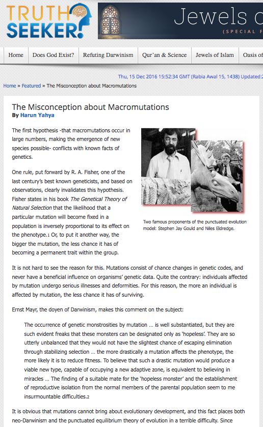 The Misconception about Macromutations 