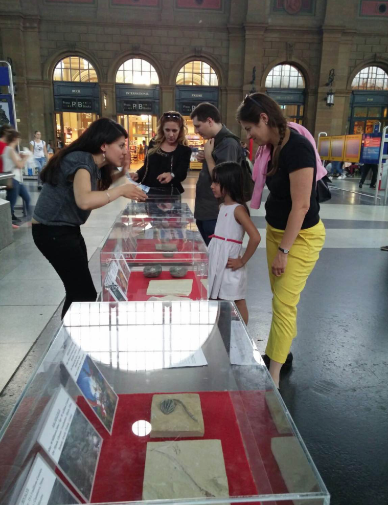 Zurich Train Station Fossil Exhibition