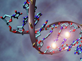 "Hurda DNA" iddiasına bir darbe de matematikten