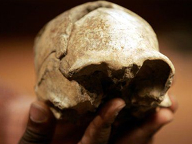 BBC"de Son Homo Erectus Bulgusuyla İlgili Yanılgılar