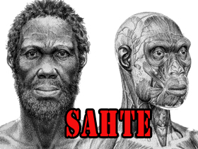 Bilim Ve Teknik İle Atlas Dergilerinin Homo Sapiens İdaltu Yanılgıları