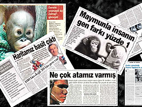 Hürriyet Gazetesi"nin Evrim Çelişkisi