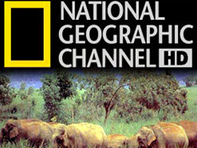 National Geographic TV"nin Evrim Ve Din Hakkındaki Yanılgıları