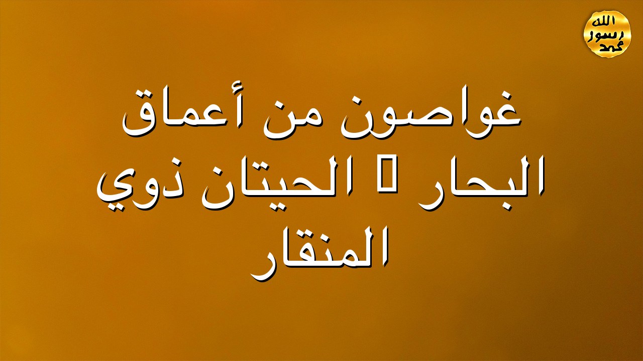 غواصون من أعماق البحار : الحيتان ذوي المنقار