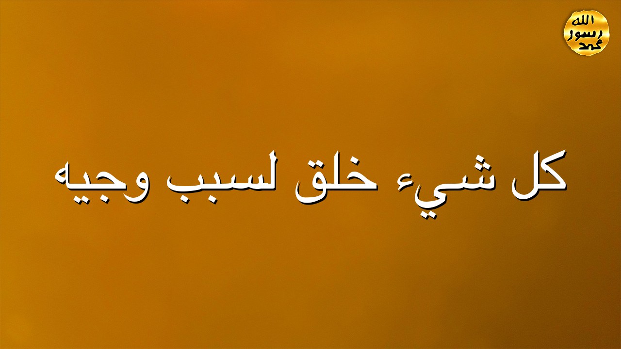 كل شيء خُلِقَ لسبَبٍ وجيه