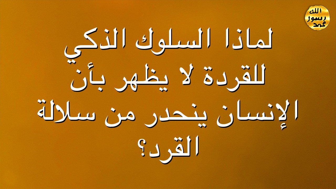 لماذا السلوك الذكي للقردة لا يظهر بأنّ الإنسان ينحدر من سلالة القرد؟
