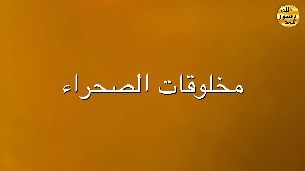 مخلوقات الصحراء