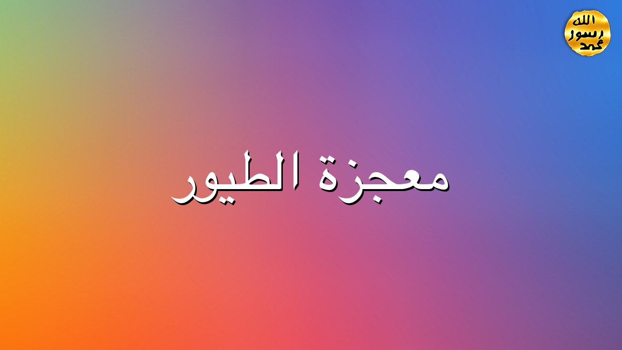معجزة الطيور