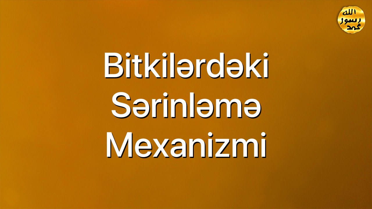 Bitkilərdəki sərinləmə mexanizmi