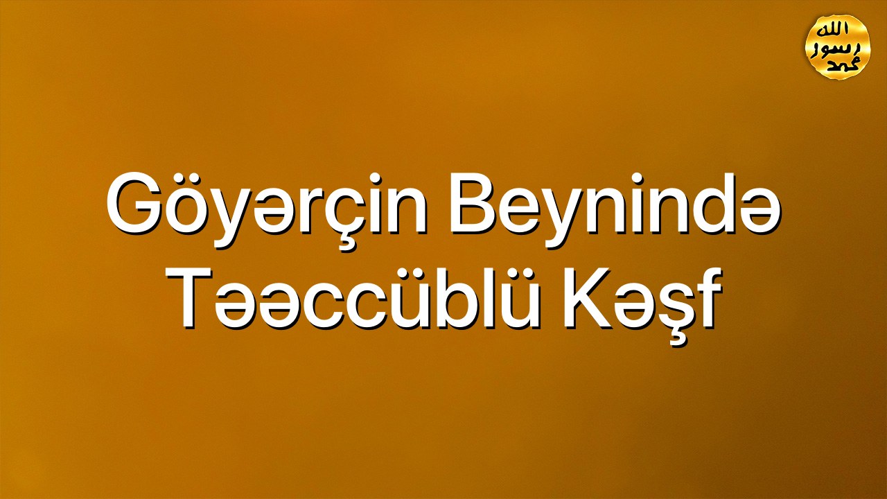 Göyərçin beynində təəccüblü kəşf