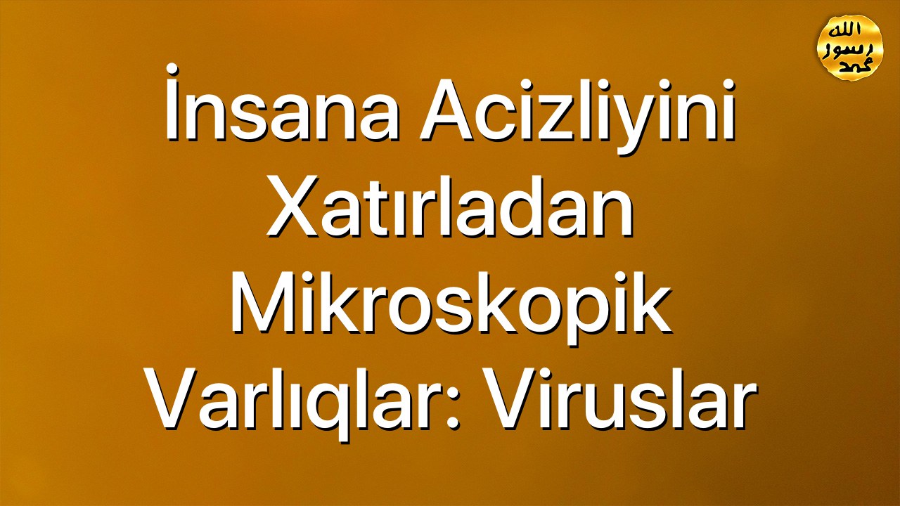 İnsana acizliyini xatırladan mikroskopik varlıqlar: viruslar
