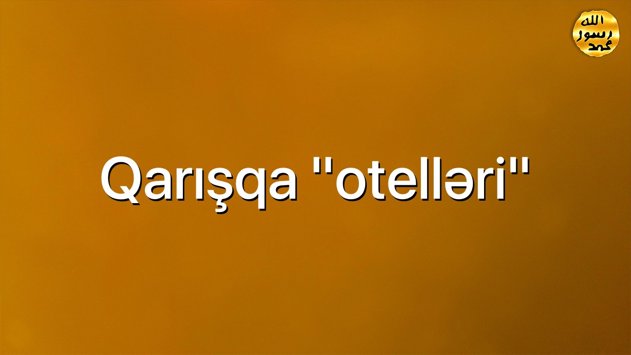 Qarışqa “otelləri”
