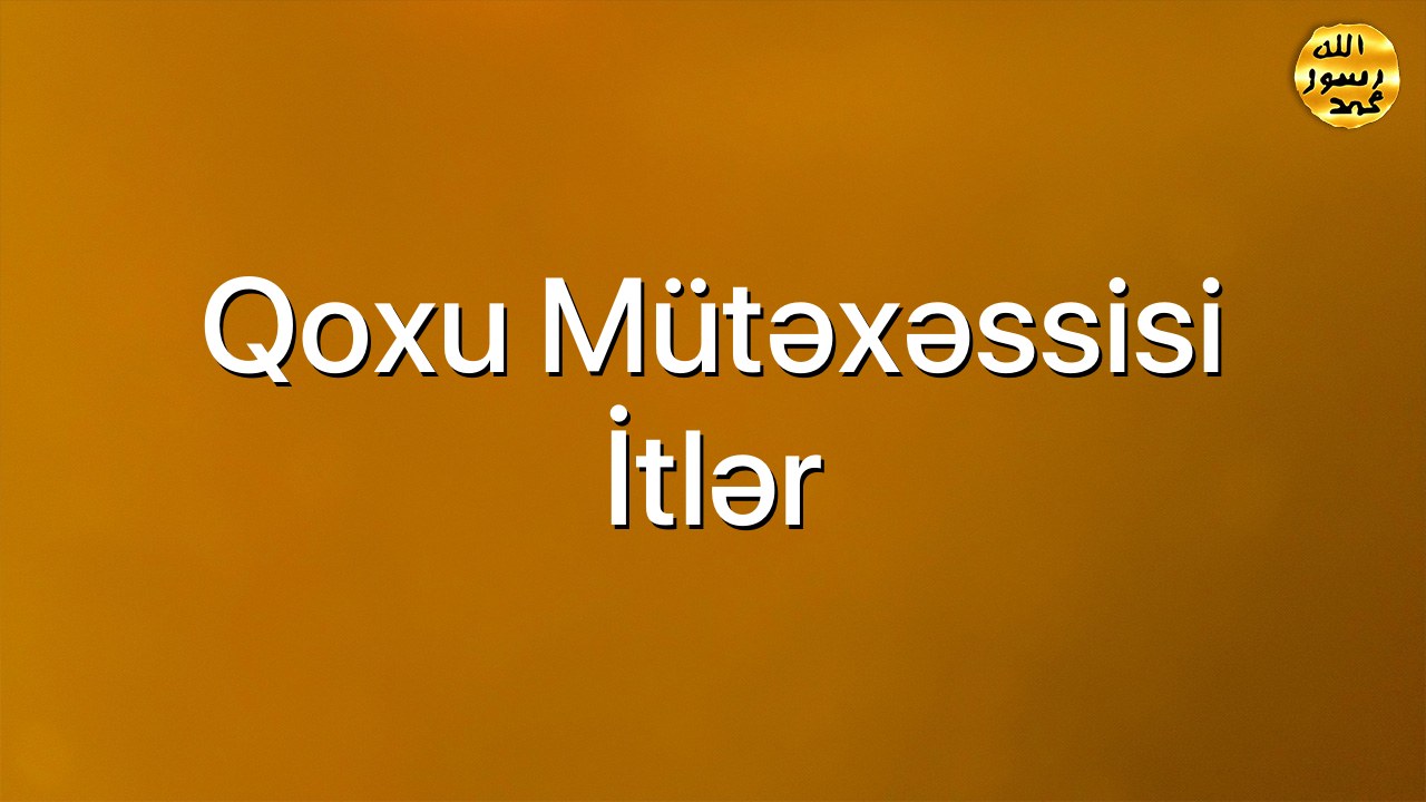 Qoxu mütəxəssisi itlər