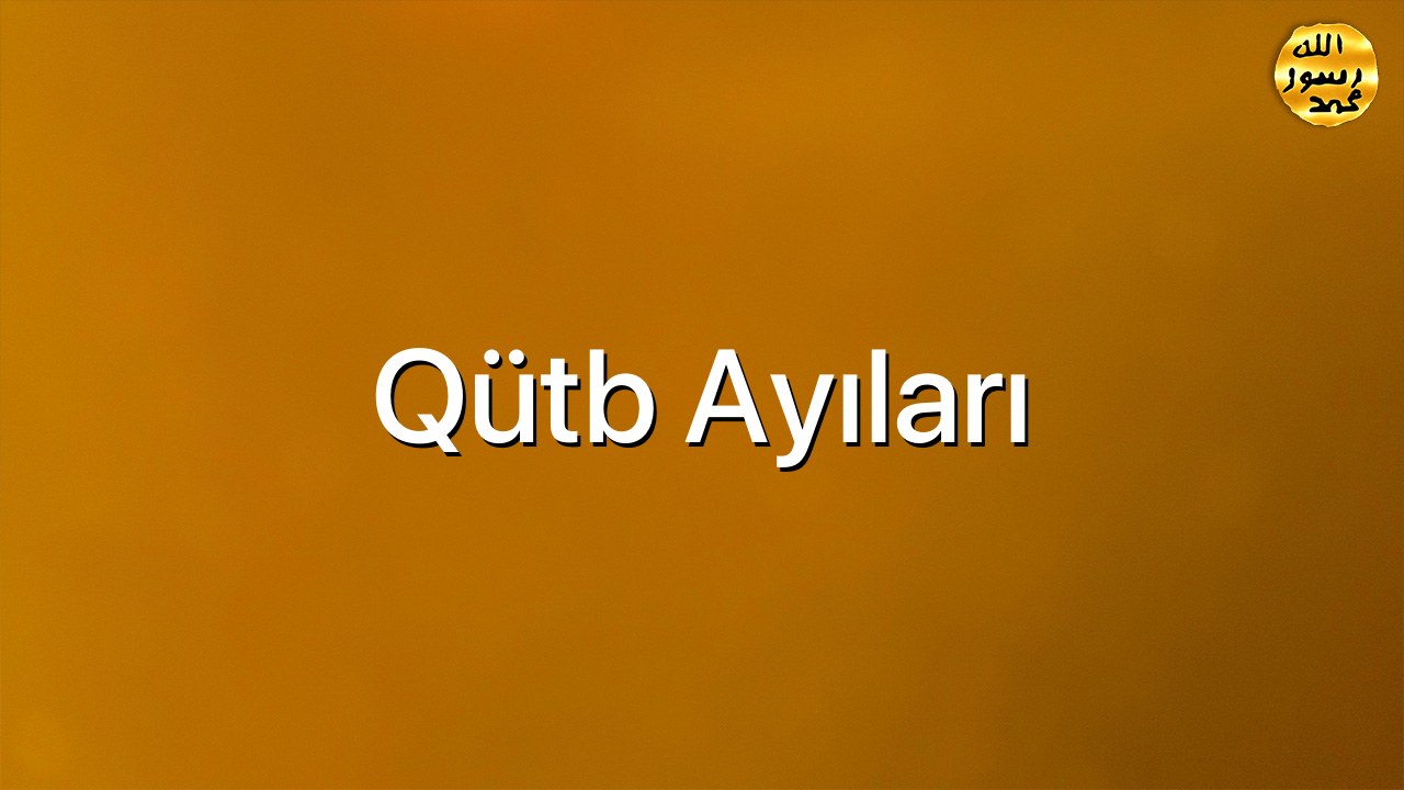 Qütb ayıları
