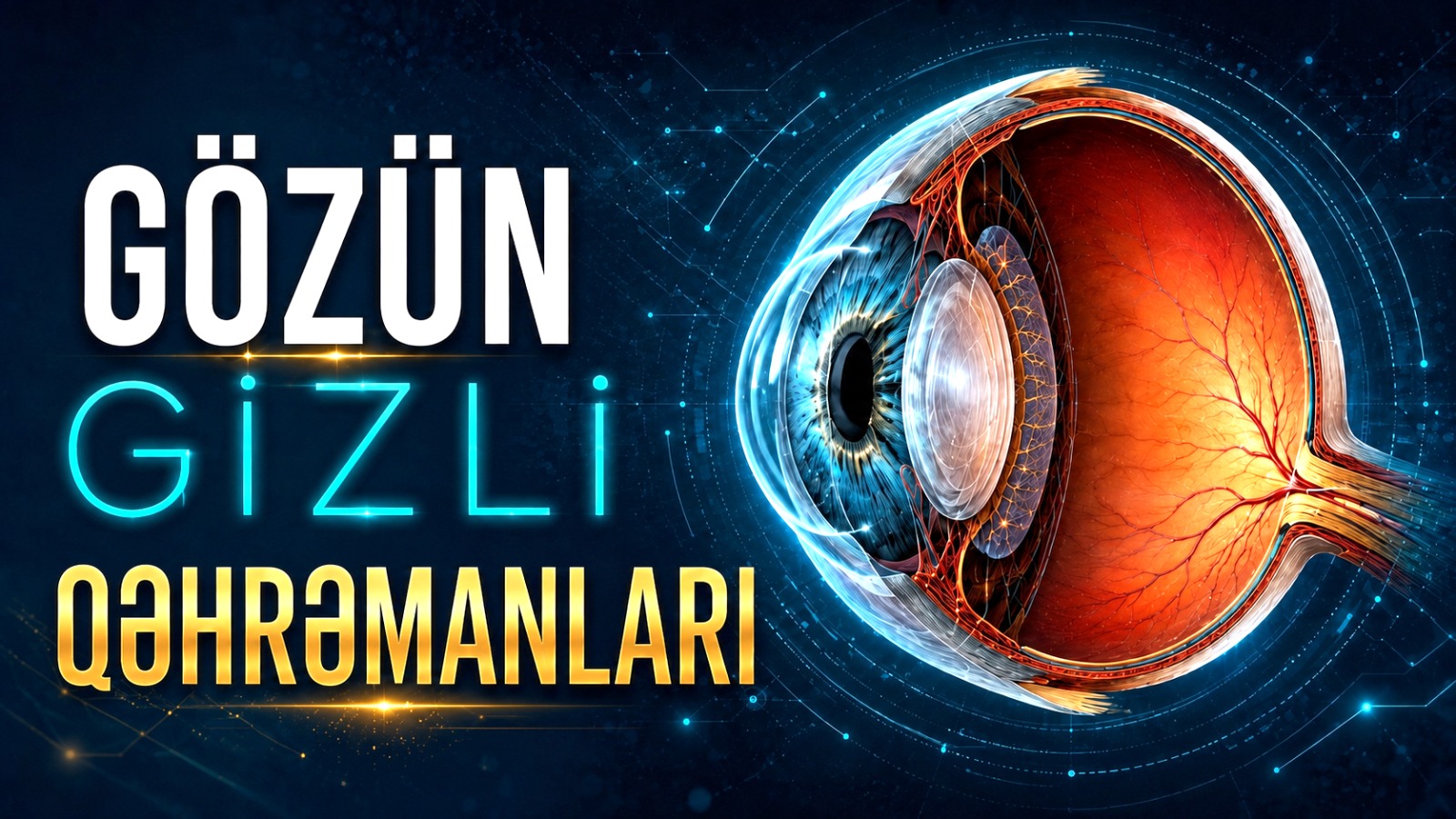 Gözün gizli qəhrəmanları