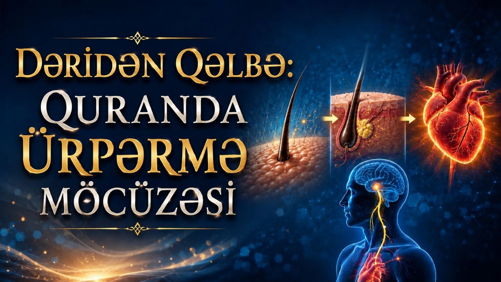 Dəridən qəlbə: Quranda ürpərmə möcüzəsi
