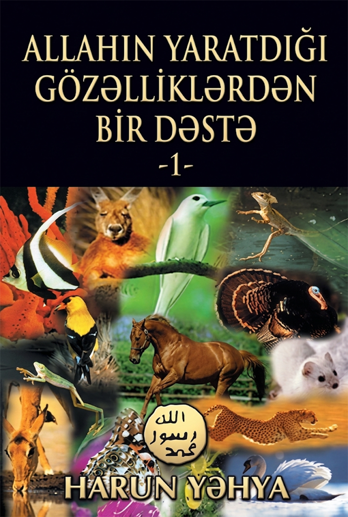Allahın Yaratdığı Gözəlliklərdən Bir Dəstə -1-