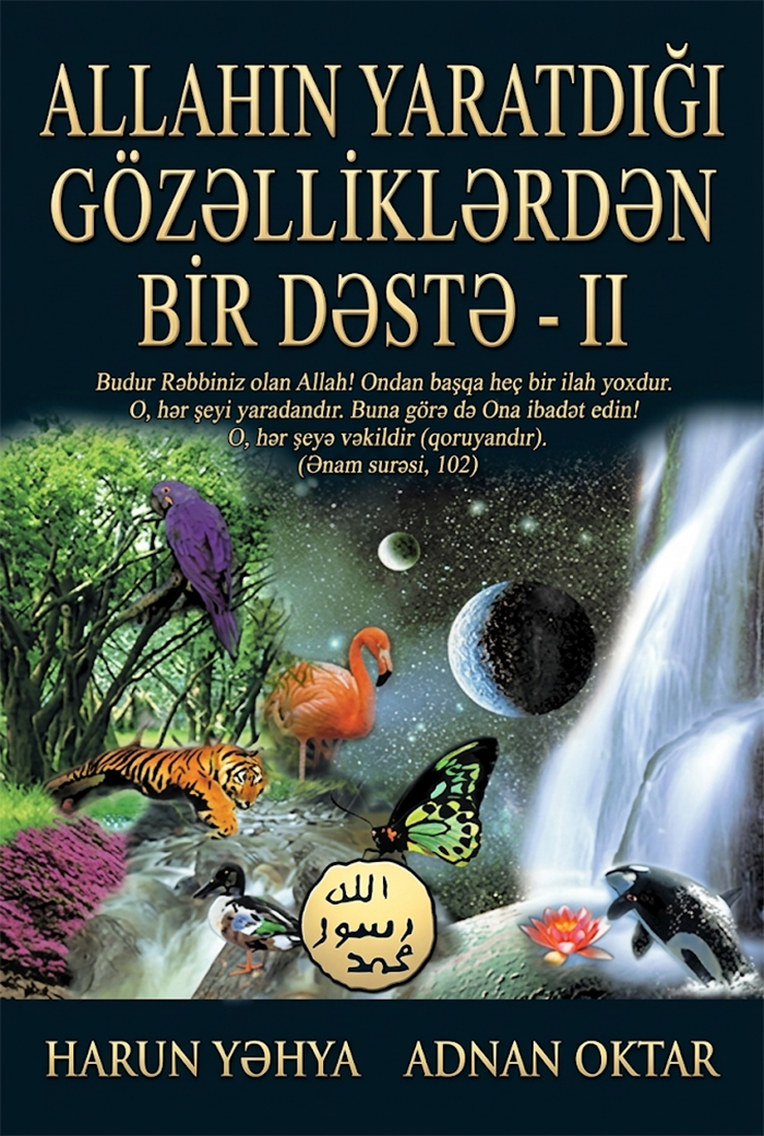 Allahın Yaratdığı Gözəlliklərdən Bir Dəstə - 2