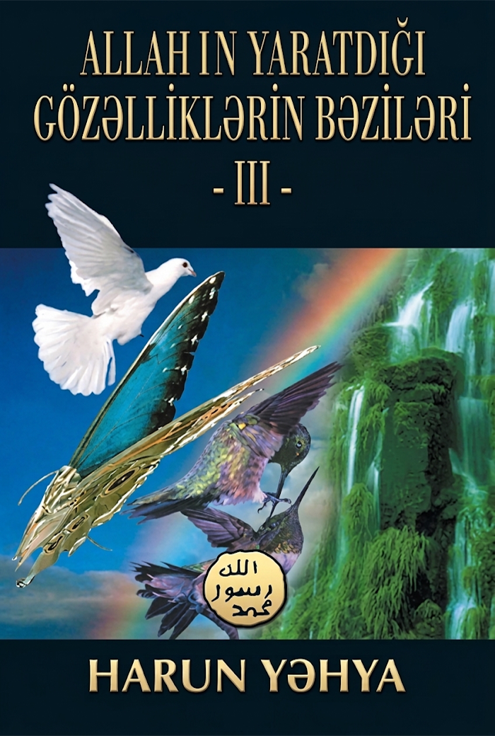 Allahın Yaratdığı Gözəlliklərin Bəziləri - 3