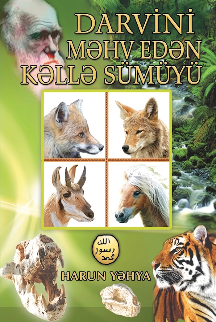 Darvini Məhv Edən Kəllə Sümüyü