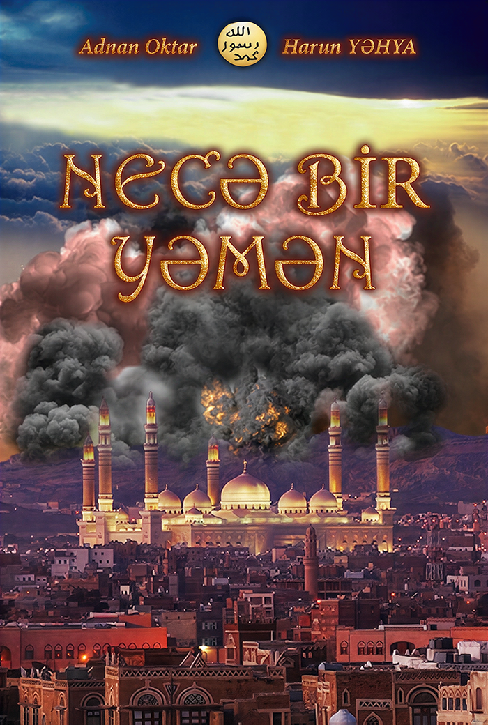 Necə Bir Yəmən?