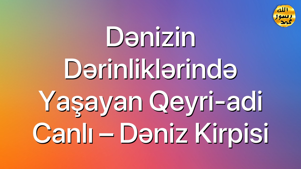 Dənizin dərinliklərində yaşayan qeyri-adi canlı – Dəniz kirpisi